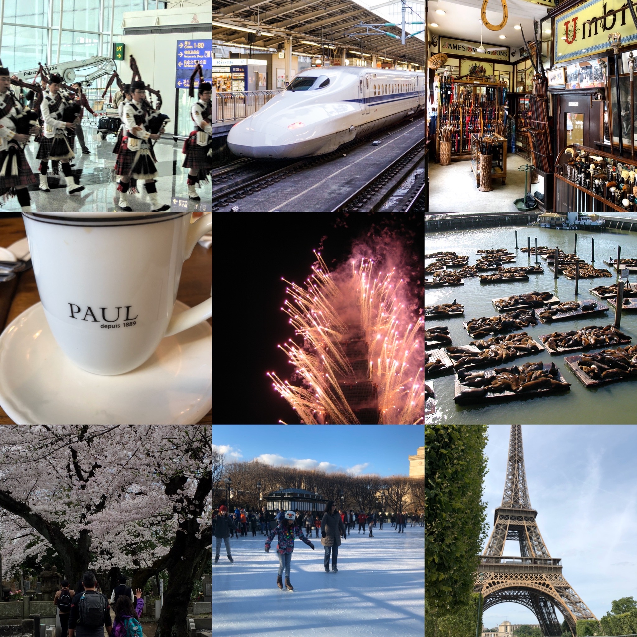 2019: A Year in Review