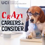 Crazy Careers to Consider